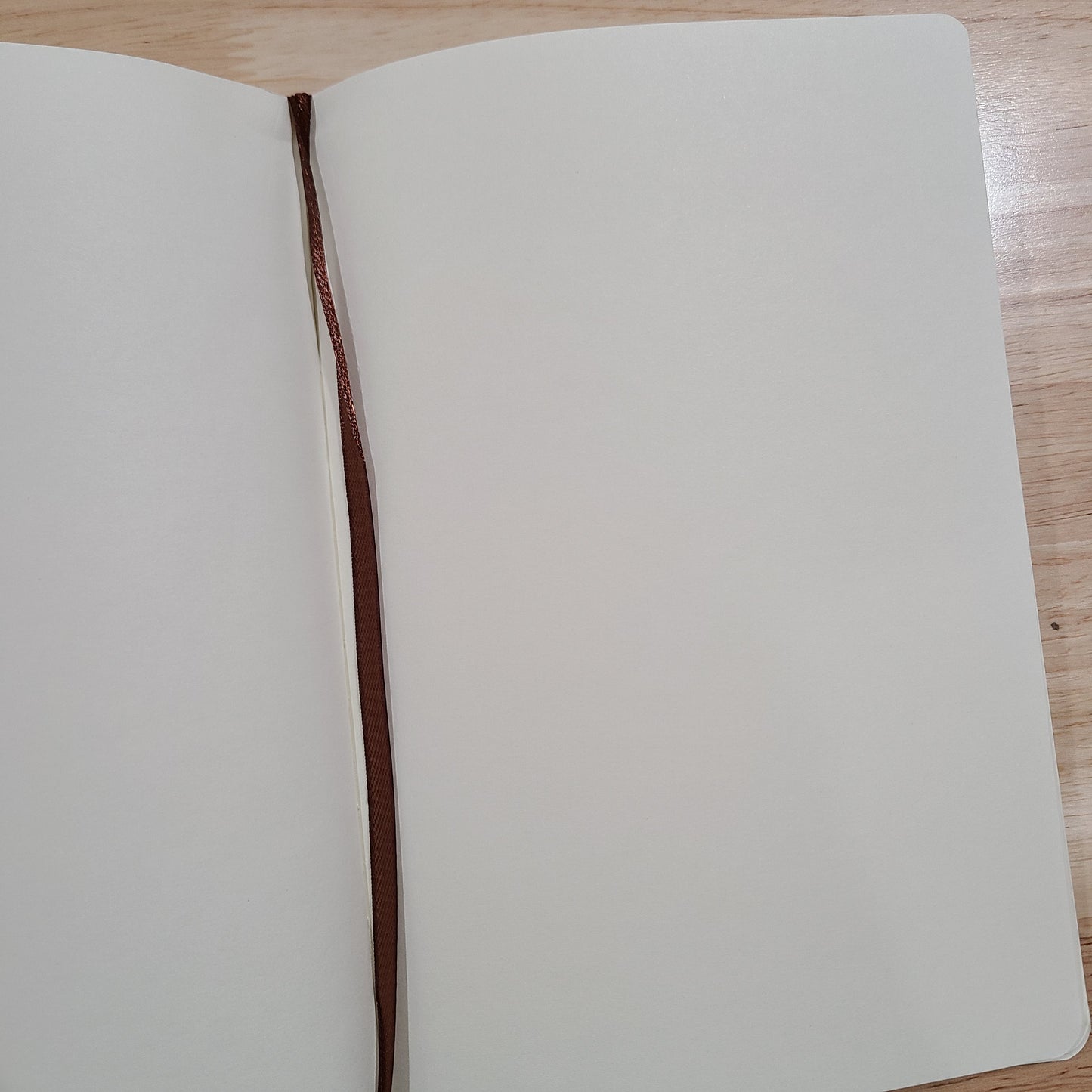 Replacement Pages for Large A5 Journal